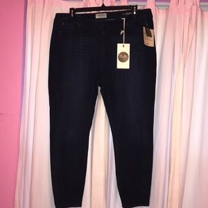 Curvy Skinny Jean. NWT